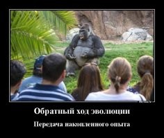 Это бизнестренинг