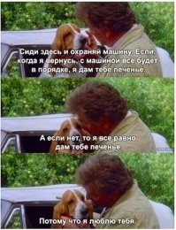 Я сам влюбился в эту собаку, и мечтал иметь такую же :