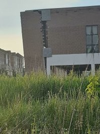 Говорили же - леса не снимать, пока обои не поклеят.