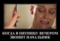 А что такого, если в пятницу позвонит начальник?
