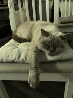 Он уже все бросил и идет кого то ловить...