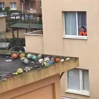 Сразу видно, что не русский. Наш бы пацан суетился, пробовал разные идеи - палки, веревки со смолой на конце, спереть лестницу у электриков... Ну это мы всё с деревьев доставали, а тут вообще можно доску на мусорке найти, кинуть с окна на будку и перелезть