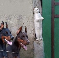 16 кадров из фильмов и сериалов, которые стали мемами