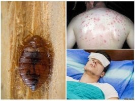 Много вас таких давителей было