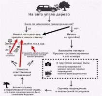 20 жизненных подсказок-шпаргалок, которые сделают вас эрудитом