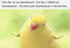 Потому что после такого таксистами и становятся