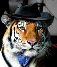 Спасибо за мишек. Но я все равно добавлю котейку.