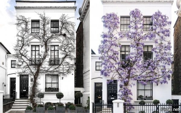 Абсолютно не новая идея! Таких ковров на АлиЭкспрессе тонны и они лет 10 продаются уже. 


Дико неудобно так лежать при такой конструкции да еще и углах и несовершенно не практично, если на столе есть вещи! Т.е. всё надо снять, потом лечь а потом еще и получить боль в мышцах спины. "Я у мамы инженер", блин... Ну ну... )) 


Вытирать пыль и т.д. с подобного станет новой морокой. 


Красиво, но дико непрактично и дополнительная сырость и влажность создаст из за остатков воды что будут скапливаться в таком "дизайне". 


Не практично, да еще и покажите миру, что вы минимум странный чудак. 


Таких домов сегодня по миру уже сотни, если не тысячи. И намного оригинальнее. 


Дождь? Град? Банальный сильный ветер... Ни от чего этого этот мост не спасает. Заодно создает аварийные ситуации! 


Столы из эпоксидной смолы и дерева уже давно вчерашний день и ими завален весь Ютьюб, но из за цены, их сохранности и веса их практически никто и не покупает. Они хорошо смотрятся только на фотках. Не более.


И насколько хватает этого илюмисцентного "заряда"?! Явно же ненадолго и не на всю ночь. Не практично ни разу. Лучше просто подсветку сделать или фонари, на крайний случай. А так там глаз выколи как темно. Об этом они что то не подумали. :) 


Кто только не плагиатил Ван Гога и его "звездную ночь"...  Настолько уже банальная и избитая тема. Из за преломления света на воде в летний день, по сути, этот дизайн даже не будет виден. Только если в бассейне никого нет и полный штиль с чистейшей водой и фотошопом, как здесь на фотке. Просто выброшенные на ветер деньги и безвкусные понты.


Платите огромные деньги за огромную вазу, а по сути, получаете обычный маленький кувшин, обрамленный полоской нержавейки. Очередной лохотрон. "Капли" в упор не вижу в этом "дизайне". 


Красивая картинка, жаль, что сильно отфотошоплена с контрастом и цветами :)