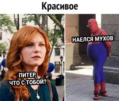Фотоподборка