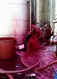 На их месте должен был быть я!