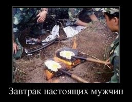 Фотоподборка