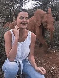 Рискует деваха - а вдруг там мамаша-слониха сзади чешет!