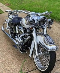 Мотовсячина