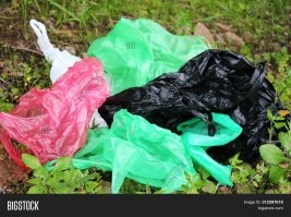 Не очевидно.
Без бумаги современная цивилизация невозможна. Бумага ещё десятки (если не сотни) лет будет производится миллионами тонн. Неизбежно встаёт вопрос её утилизации. Бумажная упаковка - один из самых очевидных путей для вторичного использования макулатуры.
А вот пластик использовать для одноразовой упаковки - хотя и дешево, но очень неэкологично. "Пакет с пакетами" - не выход, это лишь краткая остановка пластика на пути в лес или океан.  
Но автор прав в одном. К вопросам экологии надо подходить рационально. Иначе будет получаться так как сейчас: маркировка "Эко" или "Био" означает, как правило, банальный развод потребителя на бабки.