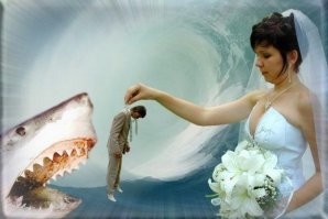 Конкурс свадебной фотографии объявил победителей