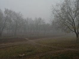 Однажды в Оренбурге.