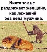 Смешные и познавательные картинки