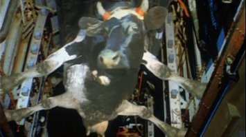 Хорошо хоть не так: