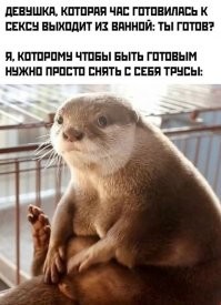 Смешные и познавательные картинки