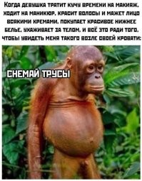 Смешные и познавательные картинки