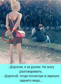 Смешные и познавательные картинки