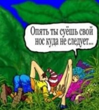 Смешные и познавательные картинки