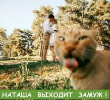 Конкурс свадебной фотографии объявил победителей