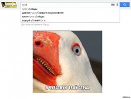 Осторожно, птицы!