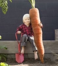 Огромная морковь ©
======
Да ладно...