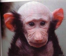 Маленький еще...