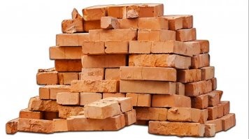 Забравшийся в автомобиль медведь застал девушку врасплох