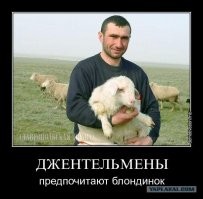 В ... папе маленького барашка