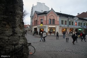 Эстония, Таллин(н), Мак в старом городе.
