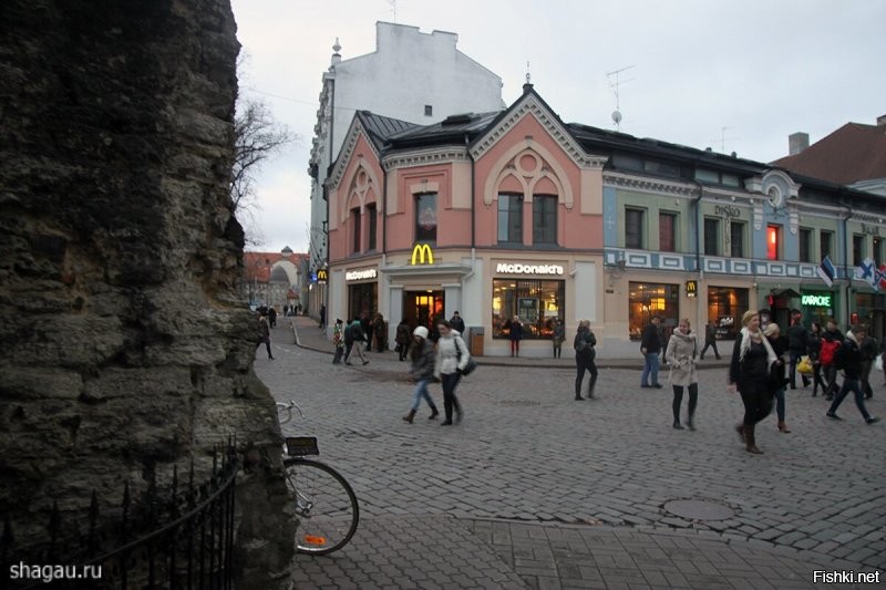 Эстония, Таллин(н), Мак в старом городе.