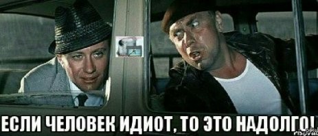 Биолог рискнул поменять батарейки на GPS-ошейнике медведя в зимней берлоге, но тот не спал