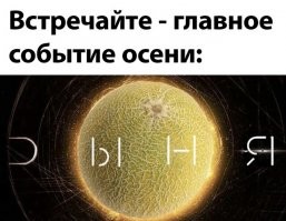 Смешные и познавательные картинки