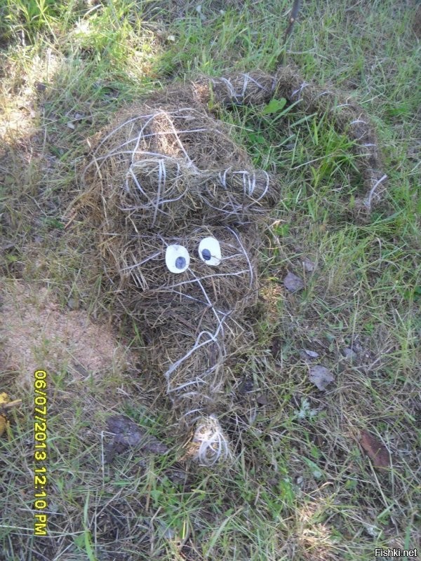 Да, в Ломоносово масштабы точно не те