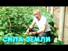 сила земли