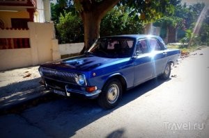 ее могут купить на кубе ,они их там фэншуют