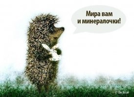 Ох уж эти ёжики