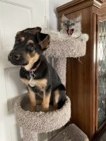 Скорее, "а ей пофиг"