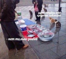 Утренний позитивный завтрак