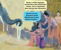 40 фотографий всякой всячины, которая вас развлечет