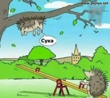 Ох уж эти ёжики