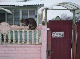 случайно заснял