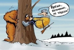 Биолог рискнул поменять батарейки на GPS-ошейнике медведя в зимней берлоге, но тот не спал