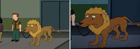 Женщина решила доказать, что её собака является вегетарианцем