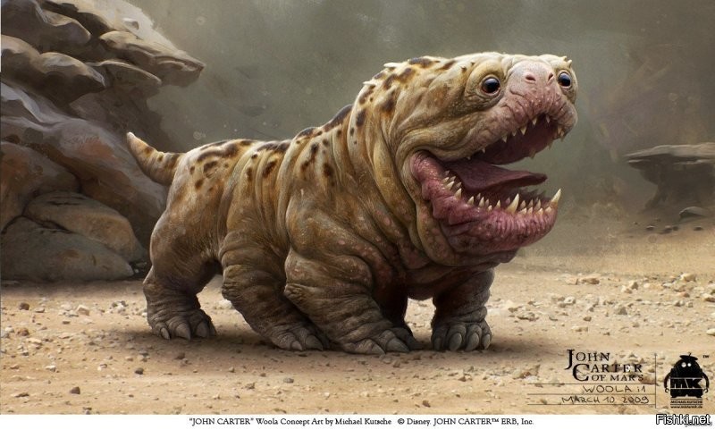 40 фотографий всякой всячины, которая вас развлечет