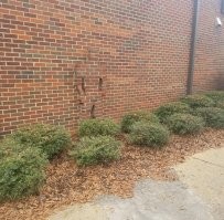 Кто-то все таки пытался перейти????