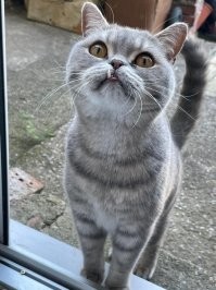 Так пропадите же вы пропадом с вашей обгоревшей тетрадкой и сушеной розой! Сидите здесь на скамейке одна и умоляйте его, чтобы он отпустил вас на свободу, дал дышать воздухом, ушел бы из памяти!